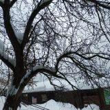 Мини-отель LogHouse, фото гостя