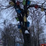 Вологодский район, фото отдыхающего в феврале