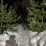 База отдыха Нептун-2, фото гостя