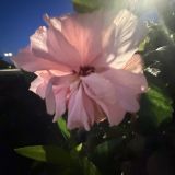 Cosmos Москва Шереметьево Аэропорт Отель, фото гостя