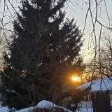 Экоотель Снегирек, фото гостя