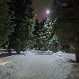 Парк-Отель Тропикана, фото гостя