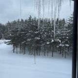 Экопарк Поляны, фото гостя