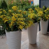 Гостевой дом Ирина, фото гостя