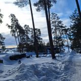 Загородный отель Яхонты Таруса, фото гостя