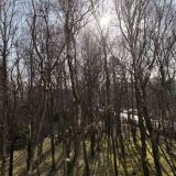 КРИСТАЛЛ ОТЕЛЬ и СПА, фото гостя