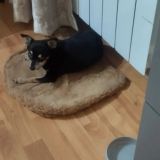 Гостевой дом Фортуна, фото гостя