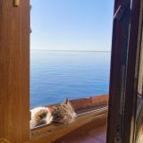 Гостевой дом Дворик на Морской, фото гостя