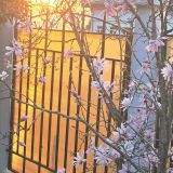 Сочи, фото отдыхающего в марте