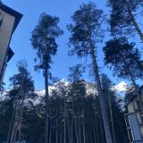 Отель Горная сказка, фото гостя