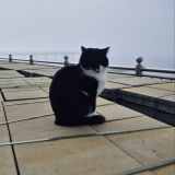 Калининградская область, фото отдыхающего в марте