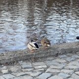 Петрозаводск, фото отдыхающего в марте