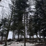 Лаго-Наки, фото отдыхающего в феврале