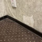 Гостиница Алтай, фото гостя