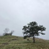 Геленджик, фото отдыхающего в марте