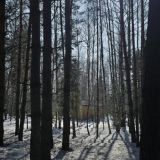 Экопарк Поляны, фото гостя