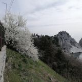 Отель Усадьба Голубой залив, фото гостя