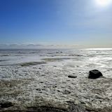 Загородный отель Комарово, фото гостя