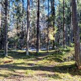 Загородный отель Комарово, фото гостя