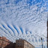Меблированные комнаты Мишаня, фото гостя