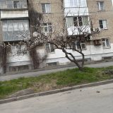 Ростовская область, фото отдыхающего в апреле