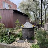 База отдыха Золотая рыбка, фото гостя