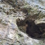 Гостиница Графская поляна, фото гостя