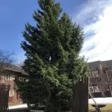 Экоотель Снегирек, фото гостя