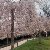Краснодар, фото отдыхающего в марте