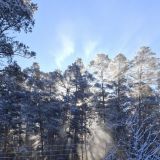 База отдыха Skala, фото гостя