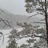 База отдыха Skala, фото гостя