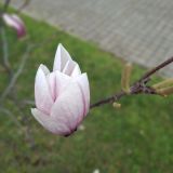 Краснодар, фото отдыхающего в марте