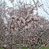 Краснодар, фото отдыхающего в марте
