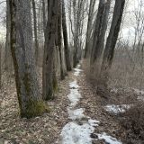Река Волга, фото отдыхающего в апреле