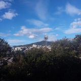 Отель Бристоль, фото гостя