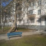 Москва, фото отдыхающего в апреле