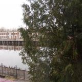Загородный отель Домик у причала, фото гостя