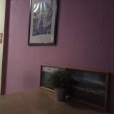 Plus Piter Hostel, фото гостя