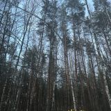 Экопарк Поляны, фото гостя