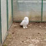 Река Волга, фото отдыхающего в апреле