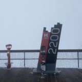 Сочи, фото отдыхающего в апреле