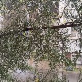 Сочи, фото отдыхающего в апреле