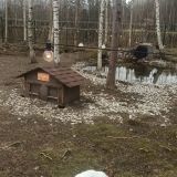 Коробицыно, фото отдыхающего в апреле