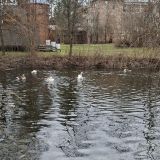Загородный отель Ателика Улиткино, фото гостя
