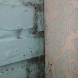 Мини-отель Star Comfort на Рижском, фото гостя