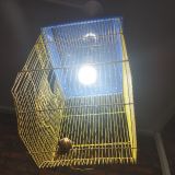 Мини-отель Star Comfort на Рижском, фото гостя