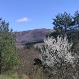 Кисловодск, фото отдыхающего в апреле