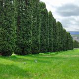 Кисловодск, фото отдыхающего в апреле