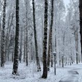 Экопарк Поляны, фото гостя