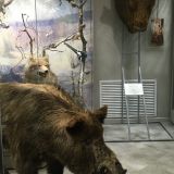 Московская область, фото отдыхающего в апреле
